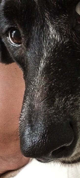 adobephotoshopexpress_1b1520531f294b80a600032174e17817