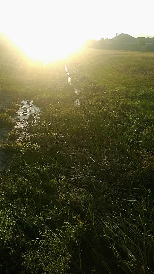 wp_20161005_001_copy