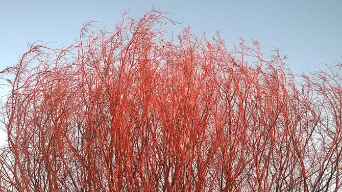 wp_20161011_004_photoshopped2