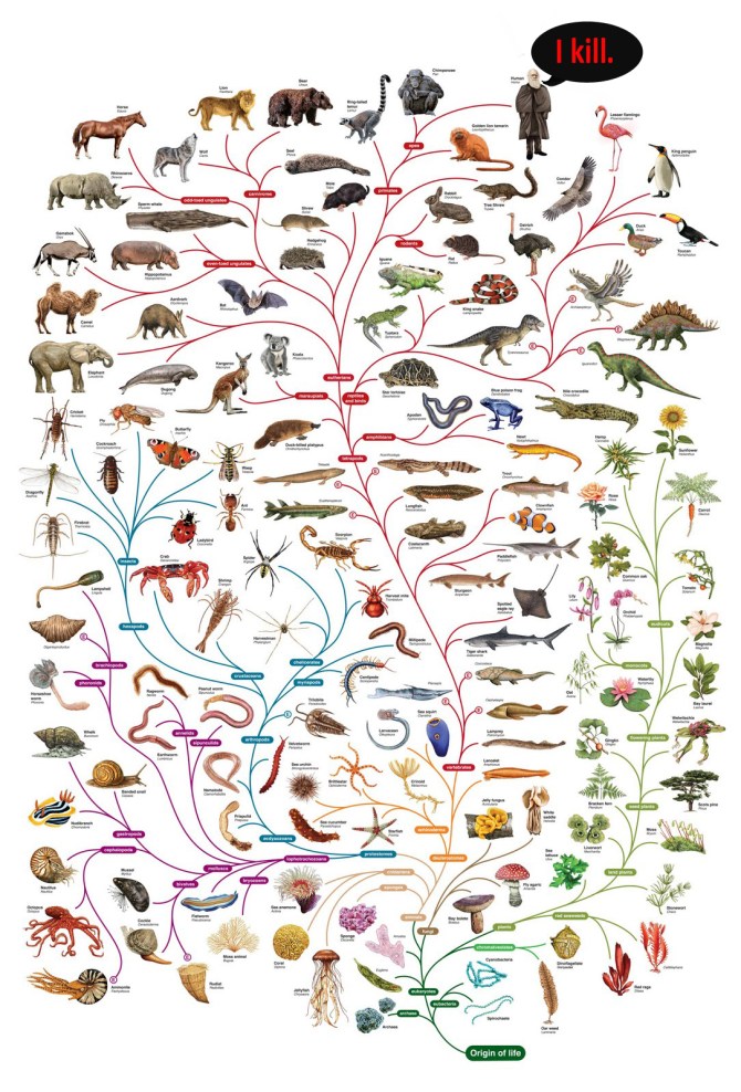 charles_darwin_tree_of_life_poster2
