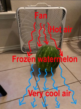 Watermelon